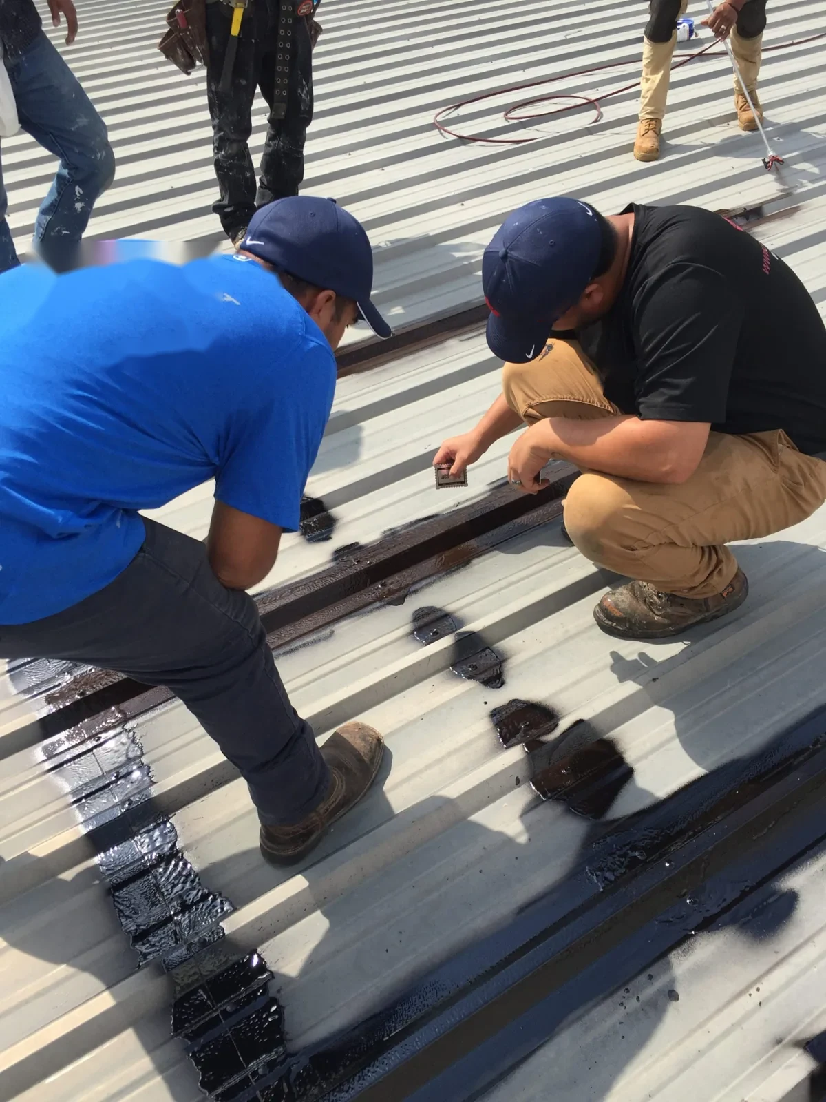 Commercial Roof Warranty Management in Lakewood, CO
