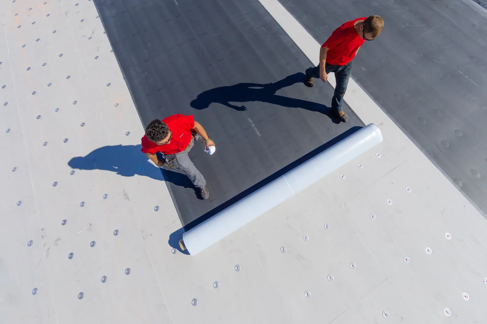 Holcim Elevate Commercial Roofing in Lakewood, CO
