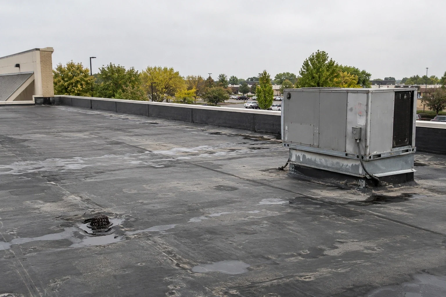 Grocery Store Roofing in Lakewood, CO