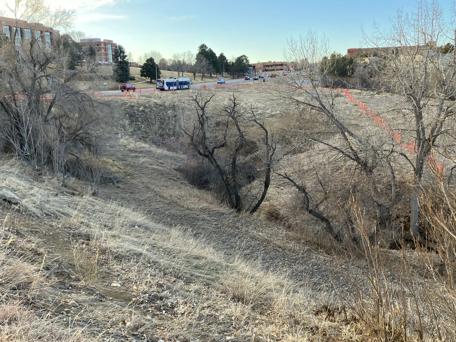 Commercial Roofing along the Littleton Broadway Corridor, CO